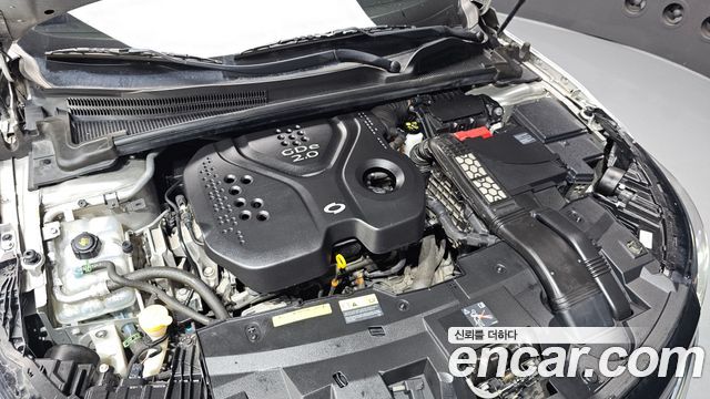 Renault Korea SM6 2016 — photo 6