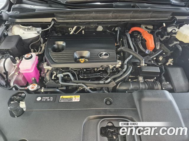 Lexus RX 2025 — photo 6