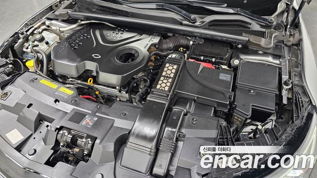 Renault Korea SM6 2017 — photo 6