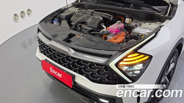 Kia Sportage 2024 — photo 6