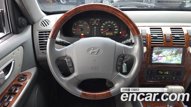 Hyundai Terracan 2004 — photo 13