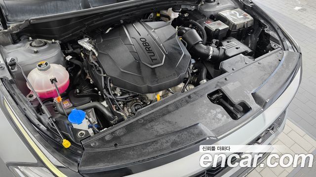 Kia Sportage 2024 — photo 6