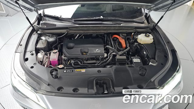 Lexus RX 2025 — photo 6