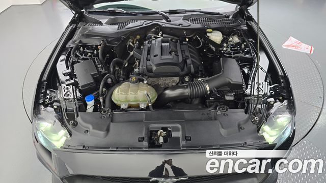 Ford Mustang 2022 — photo 6
