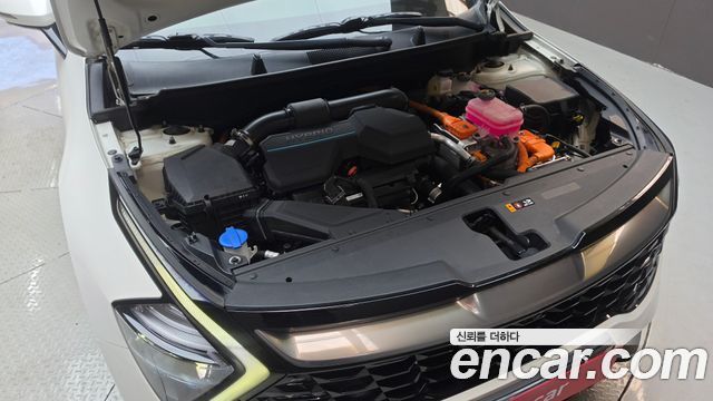 Kia Sportage 2024 — photo 6