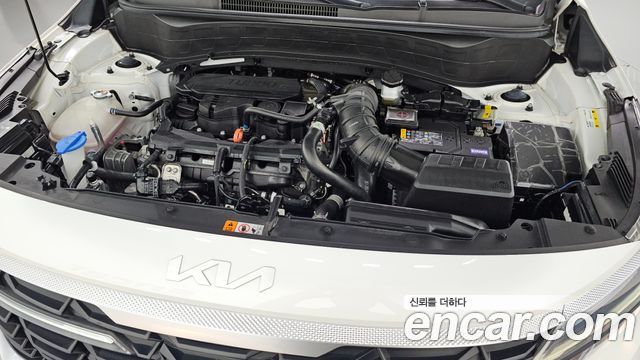 Kia Seltos 2024 — photo 6