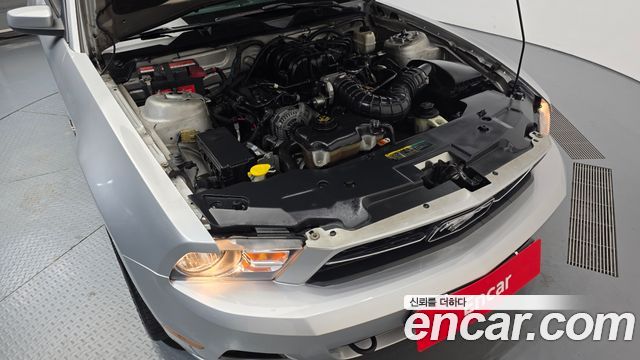 Ford Mustang 2010 — photo 6