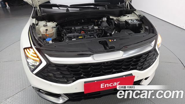 Kia Sportage 2024 — photo 6