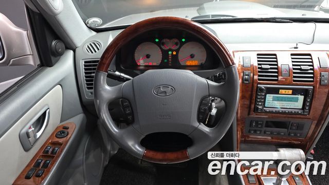 Hyundai Terracan 2004 — photo 19