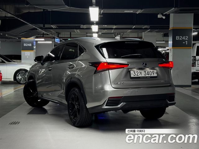 Lexus NX 2020 — photo 2