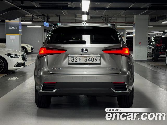 Lexus NX 2020 — photo 4