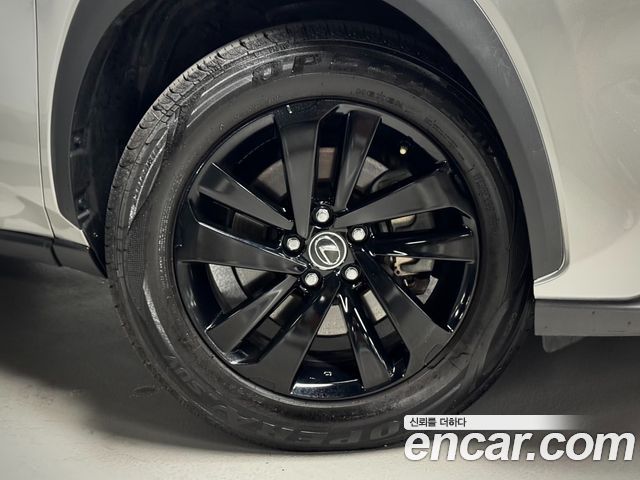 Lexus NX 2020 — photo 5