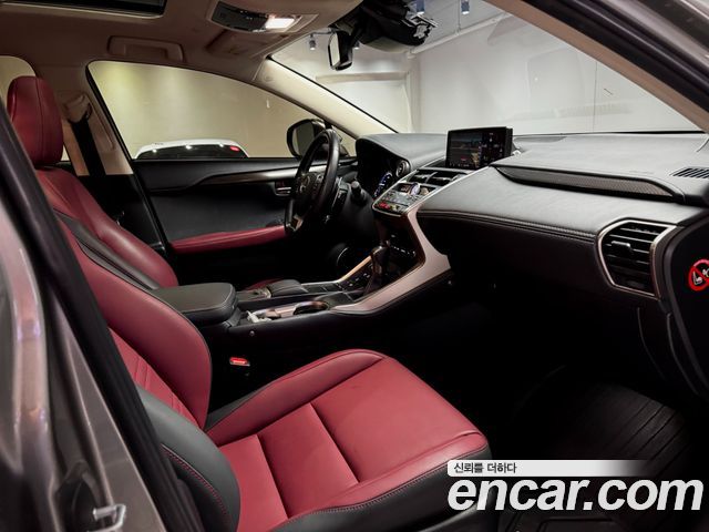 Lexus NX 2020 — photo 15
