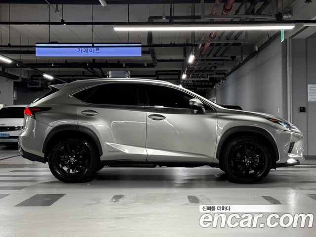 Lexus NX 2020 — photo 20