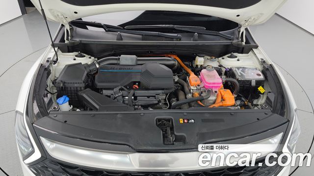 Kia Sportage 2023 — photo 6