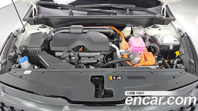 Kia Sportage 2025 — photo 6