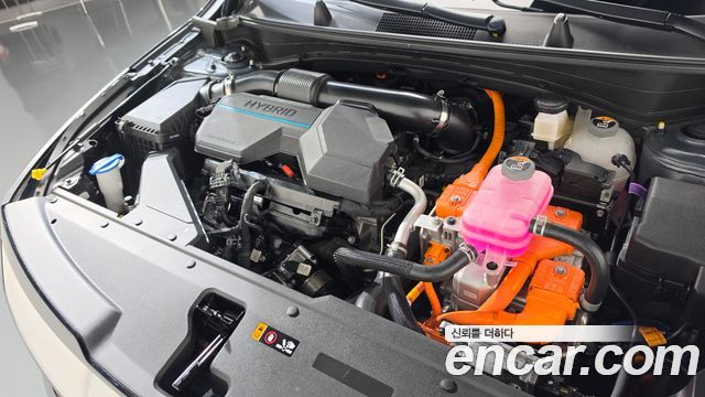 Kia Sportage 2024 — photo 6