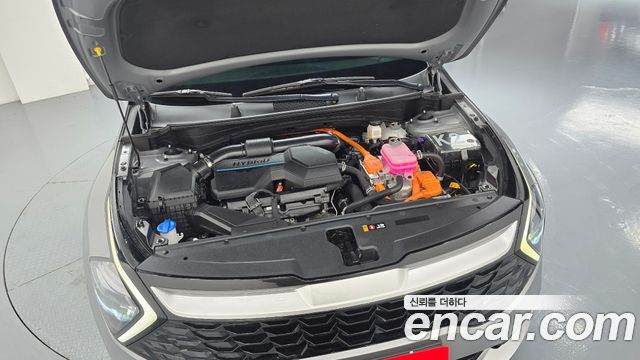 Kia Sportage 2023 — photo 6