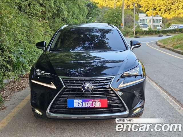Lexus NX 2020 — photo 2