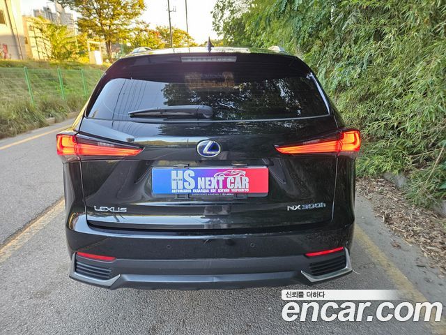 Lexus NX 2020 — photo 4