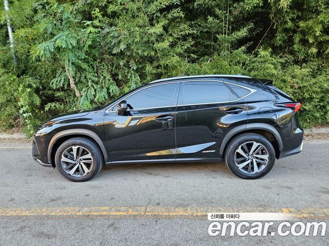 Lexus NX 2020 — photo 5