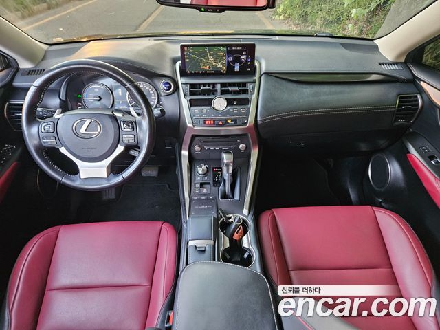 Lexus NX 2020 — photo 8