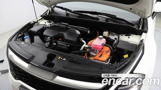 Kia Sportage 2024 — photo 6