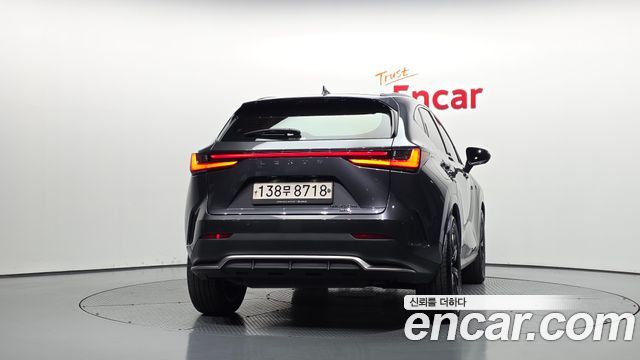 Lexus NX 2022 — photo 4