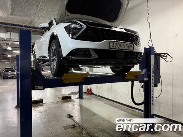 Kia Sportage 2024 — photo 1