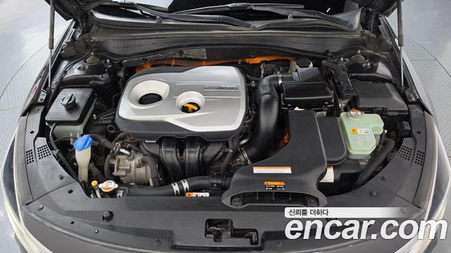 Kia K5 2016 — photo 6