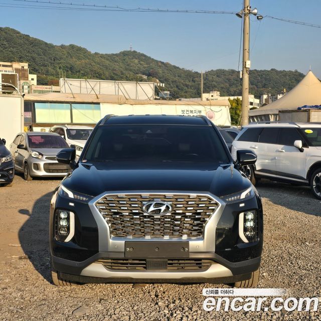 Hyundai Palisade 2020 — photo 1