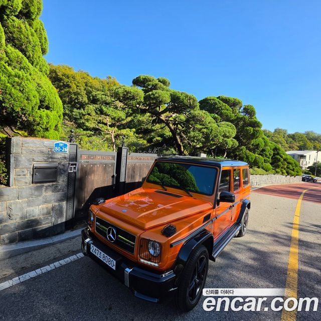 Mercedes-Benz G-Class 2015 — photo 18