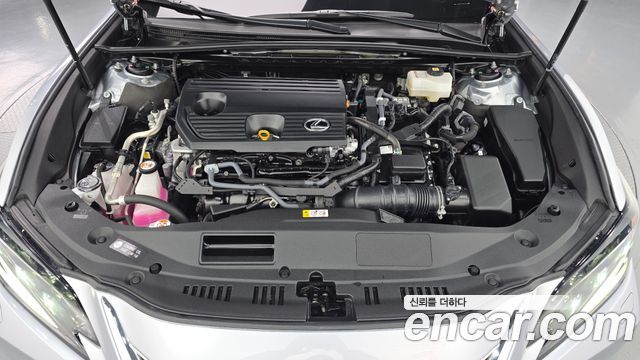 Lexus ES 2025 — photo 6