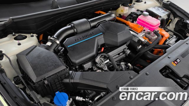 Kia Sportage 2024 — photo 6