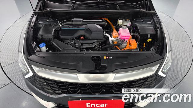 Kia Sportage 2024 — photo 6