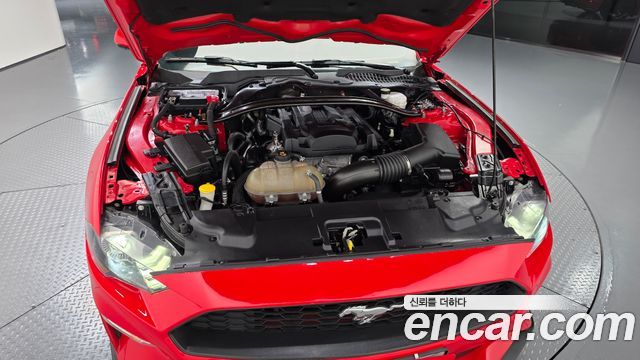 Ford Mustang 2019 — photo 6
