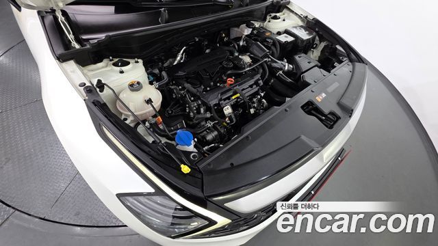 Kia Sportage 2024 — photo 6