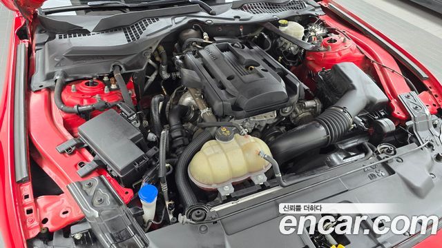 Ford Mustang 2021 — photo 6