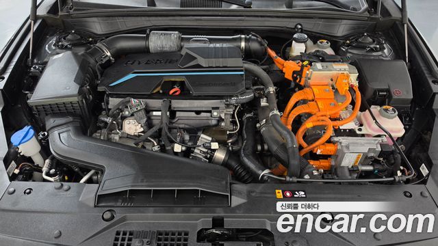 Kia K8 2022 — photo 6