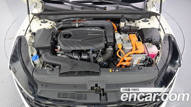 Kia K5 2023 — photo 6