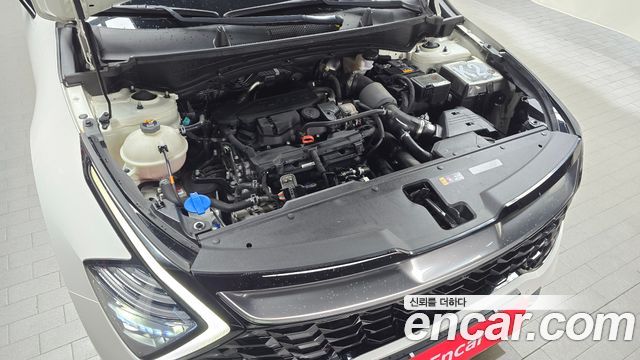 Kia Sportage 2023 — photo 6