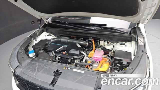 Kia Sorento 2025 — photo 6