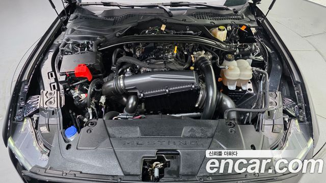 Ford Mustang 2025 — photo 6
