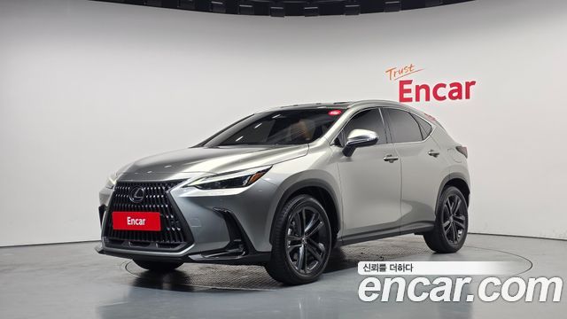 Lexus NX 2025 — photo 1
