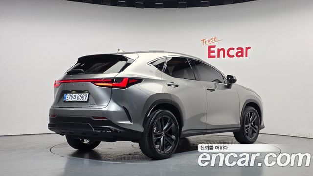Lexus NX 2025 — photo 2