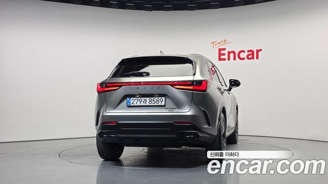 Lexus NX 2025 — photo 4