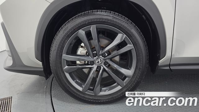 Lexus NX 2025 — photo 5