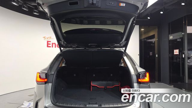 Lexus NX 2025 — photo 26