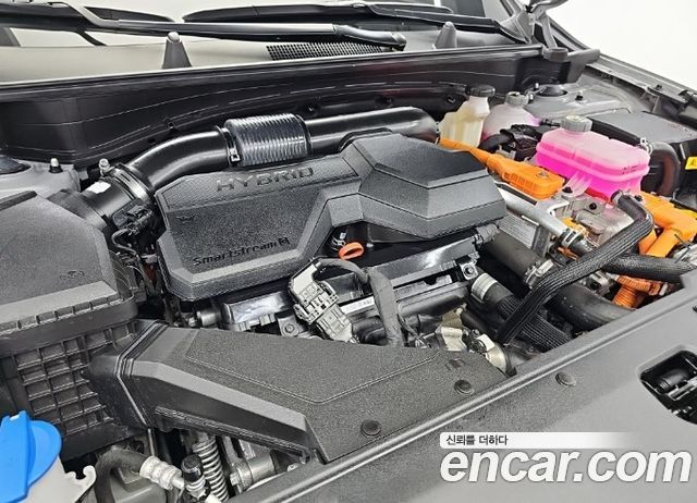 Kia Sportage 2025 — photo 5