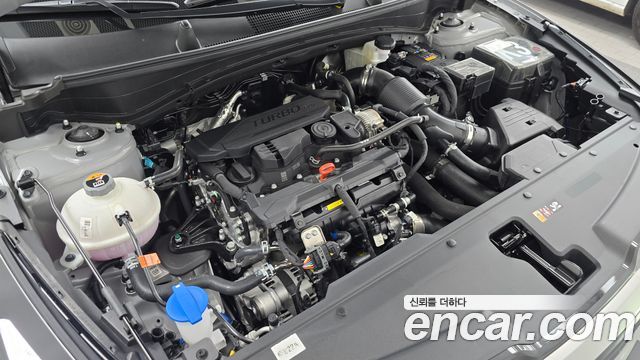 Kia Sportage 2025 — photo 6